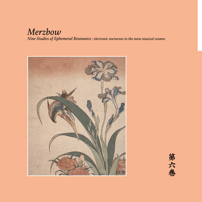 Nine Studies of Ephemeral Resonance Volume 6 | Merzbow