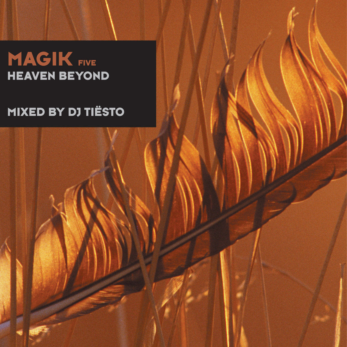 Serendipity (Mas Mix) | Mario Piu a.k.a. DJ Arabesque | Black Hole