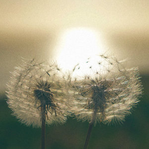 awakened souls — faraway days (2018-2022)