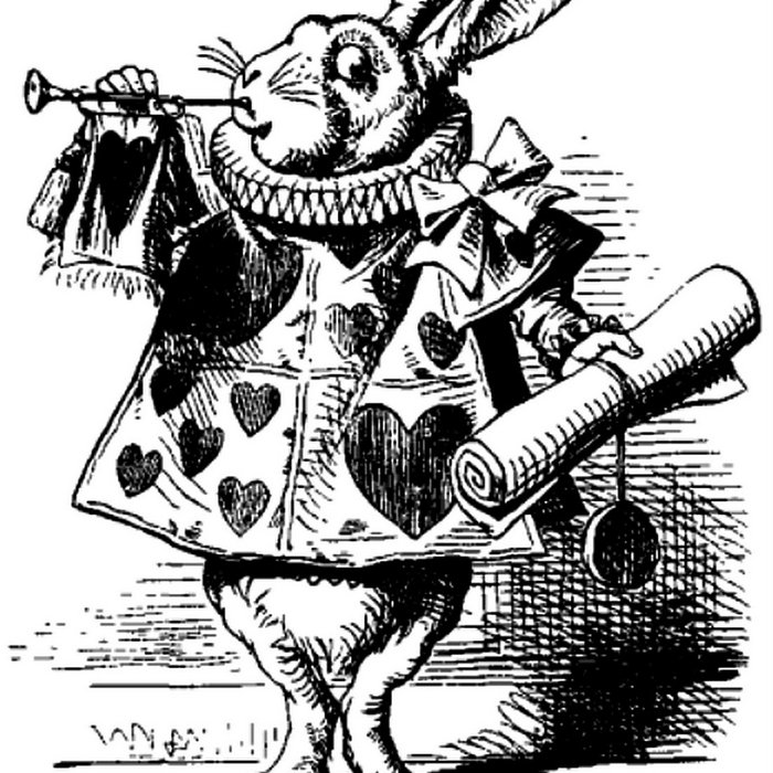 The Mark Rabbit The mark inside | Pat