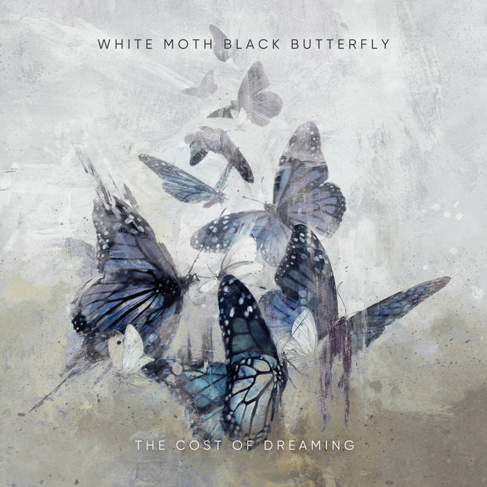 限定3000枚Butterfly『The Music of Butterfly』 BEATINK.COM / The Music of Butterfly