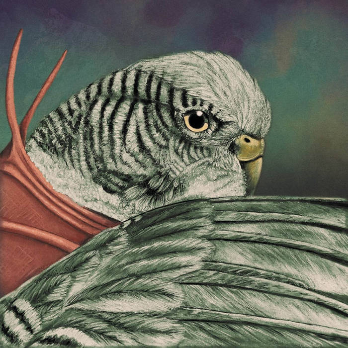【LP】Budgie/Never Turn Your Back On A Fri BUDGIE - Never Turn Your Back on a Friend - Amazon.com Music