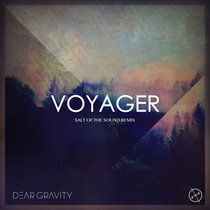 Voyager (Salt Of The Sound Remix) cover art