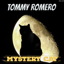 Mystery Cat cover art