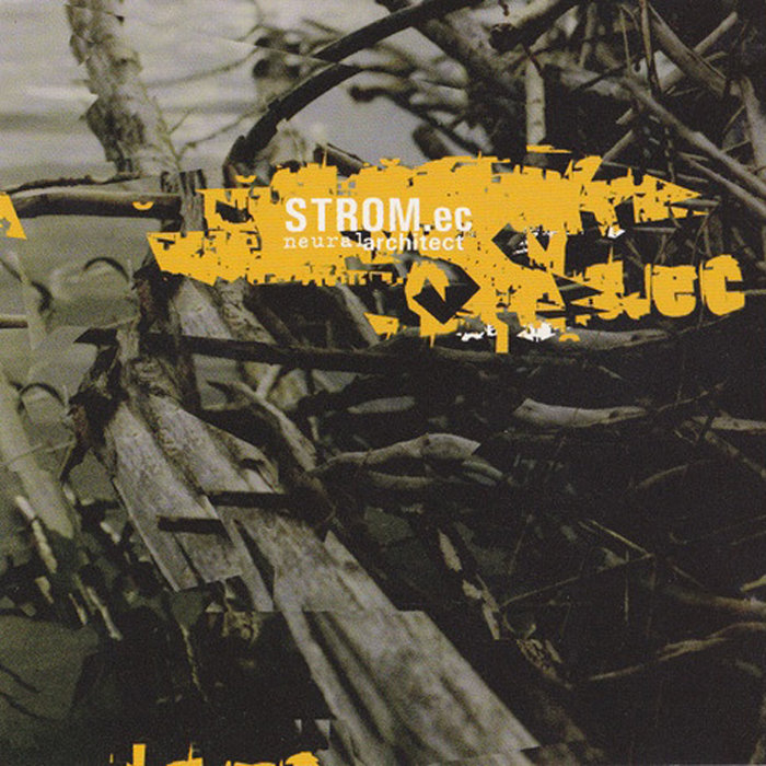 The Neural Architect of Time and Perception: Robertson Drago Roy T. Eagleman