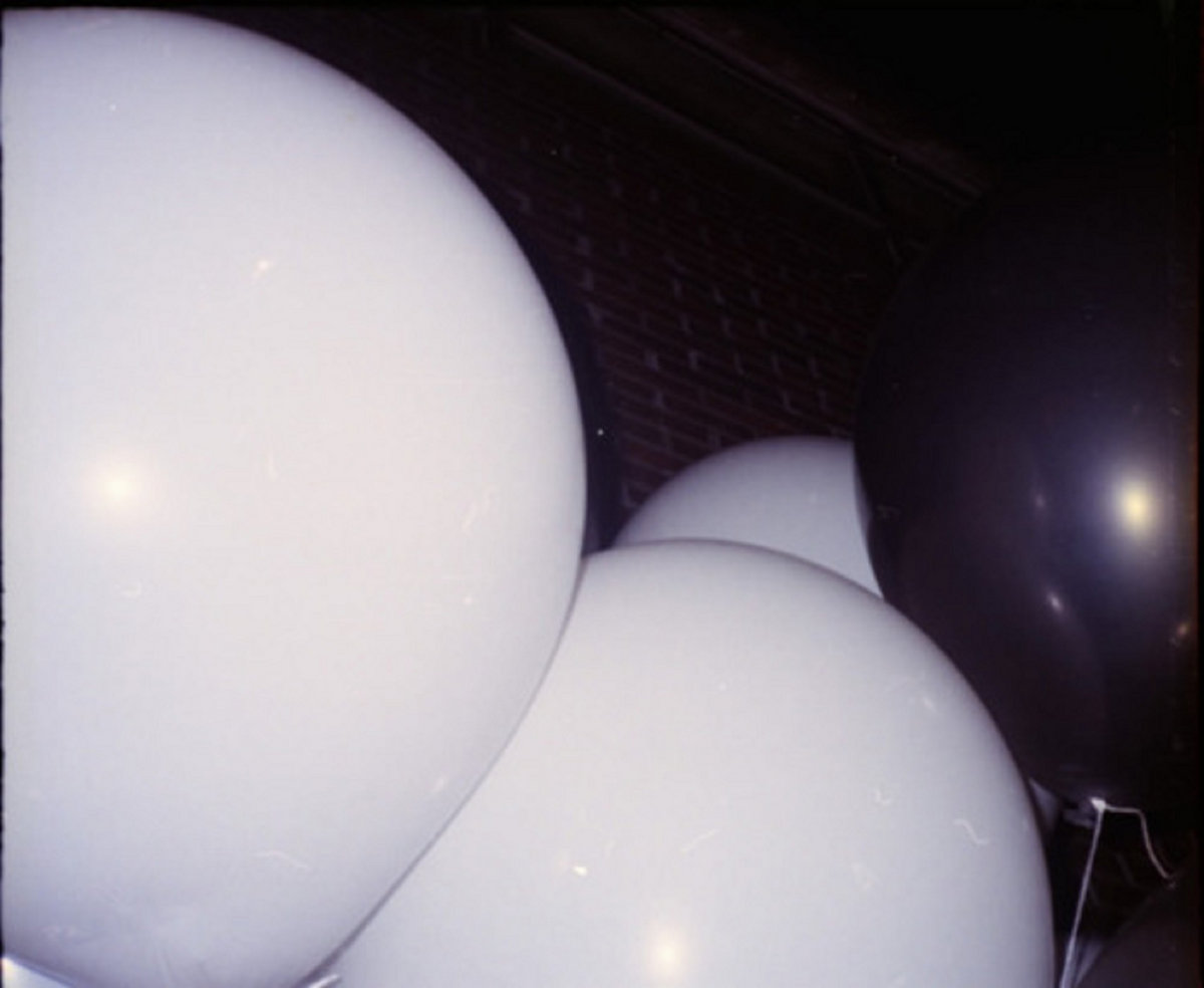 ハサミグループかるた hasami group ハサミグループかるた hasami group - メルカリ