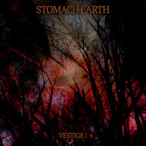 Stomach Earth — Vestige I