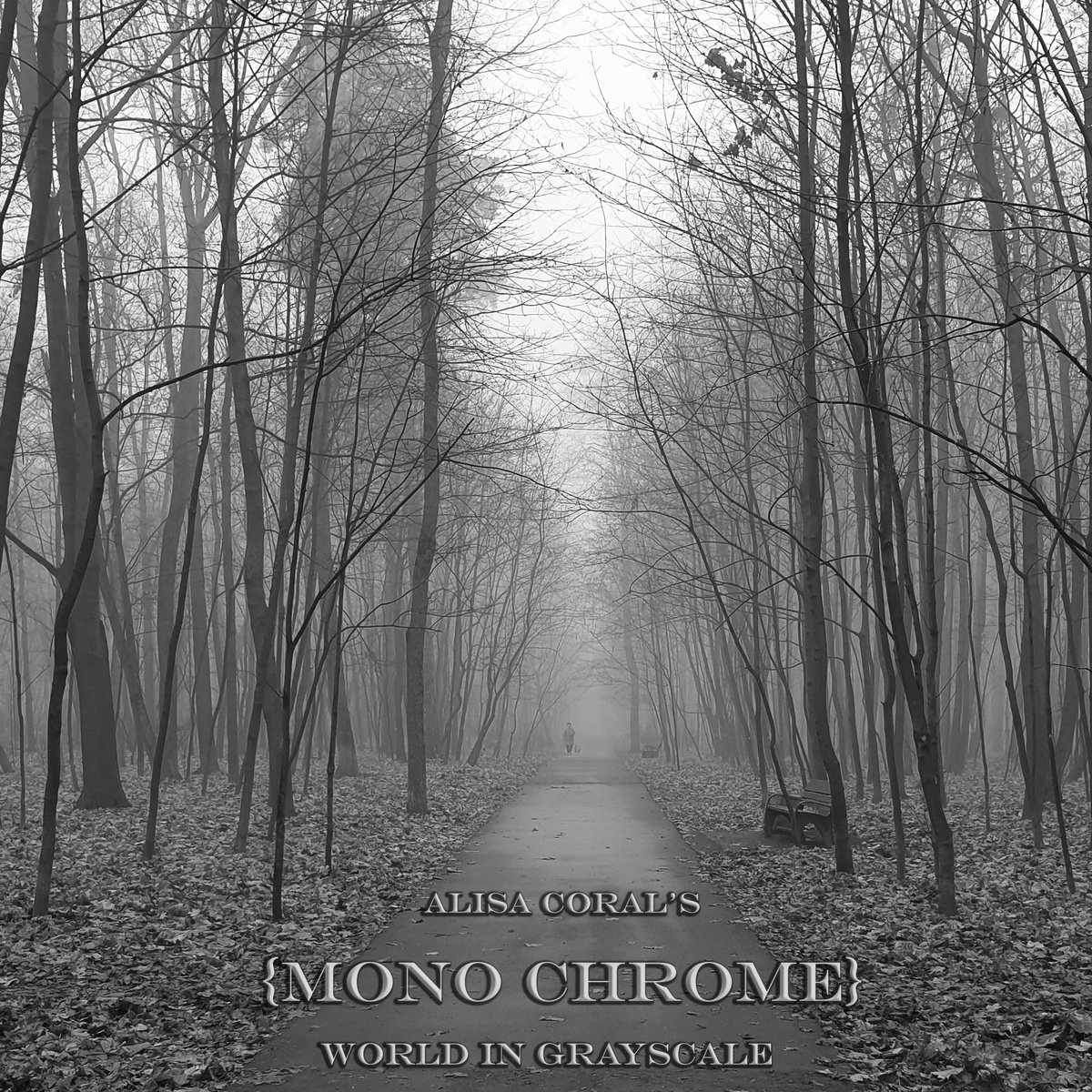 World in Grayscale | Alisa Coral's {Mono Chrome} | Space Mirrors