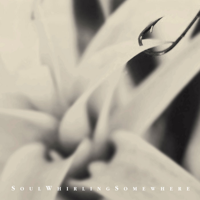 Please sennd help | Soul Whirling Somewhere | Projekt Records