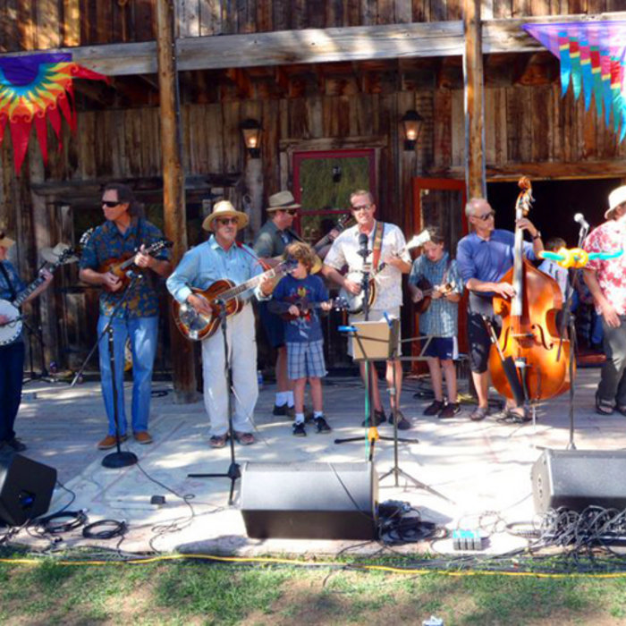 Live at the Dry Gulch Music Festival 2011 The Pine Beatles