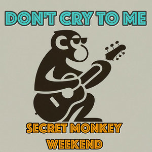 Don't Cry To Me cover