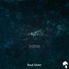 Soul Diver (Original Mix)