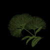 Pathfinder EP