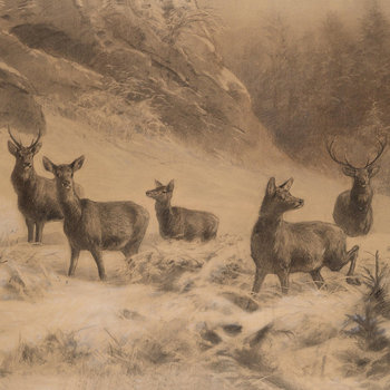 Music | Lost in The Forest