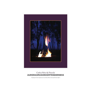 AurorasmushroomtendernessCarlos Niño & Friends cover