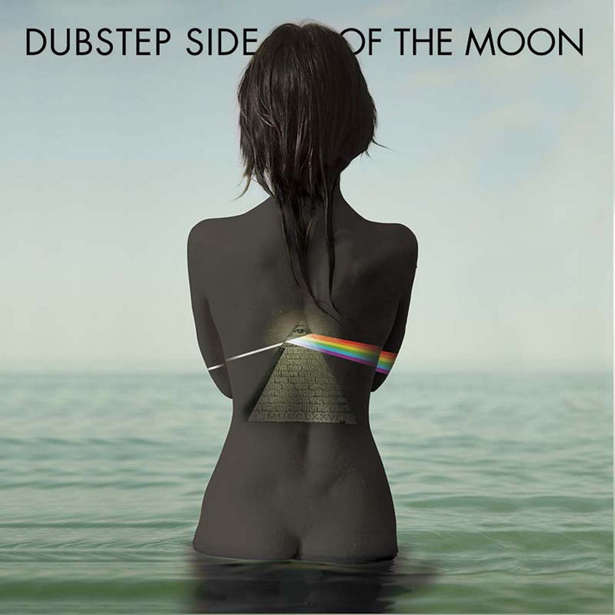 Dubstep Side of the Moon - Renditions of Pink Floyd | Various