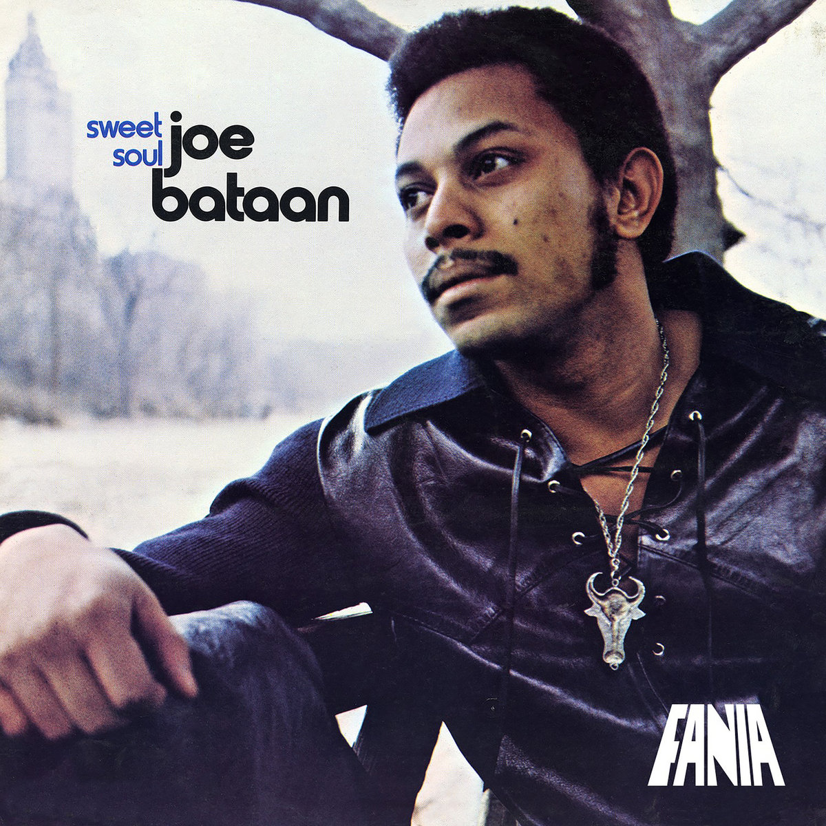 洋楽 JOE BATAAN / SWEET SOUL (LP00407) a0105347482_10.jpg