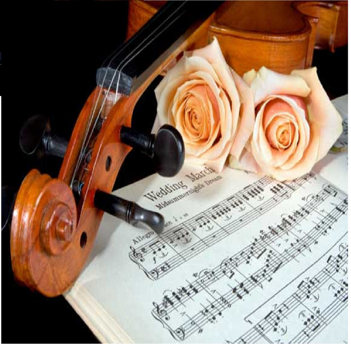 Wedding Bands Scotland Reasons To Hire A Live Band Wedding Bands Scotland Reasons To Hire A Live Band