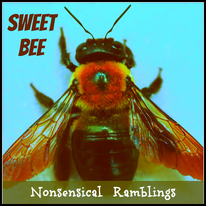 Nonsensical Rambling Nonsensical Ramblings | Sweet Bee