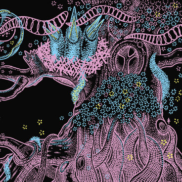 Appleblim - Girder | Skull Disco | Shackleton