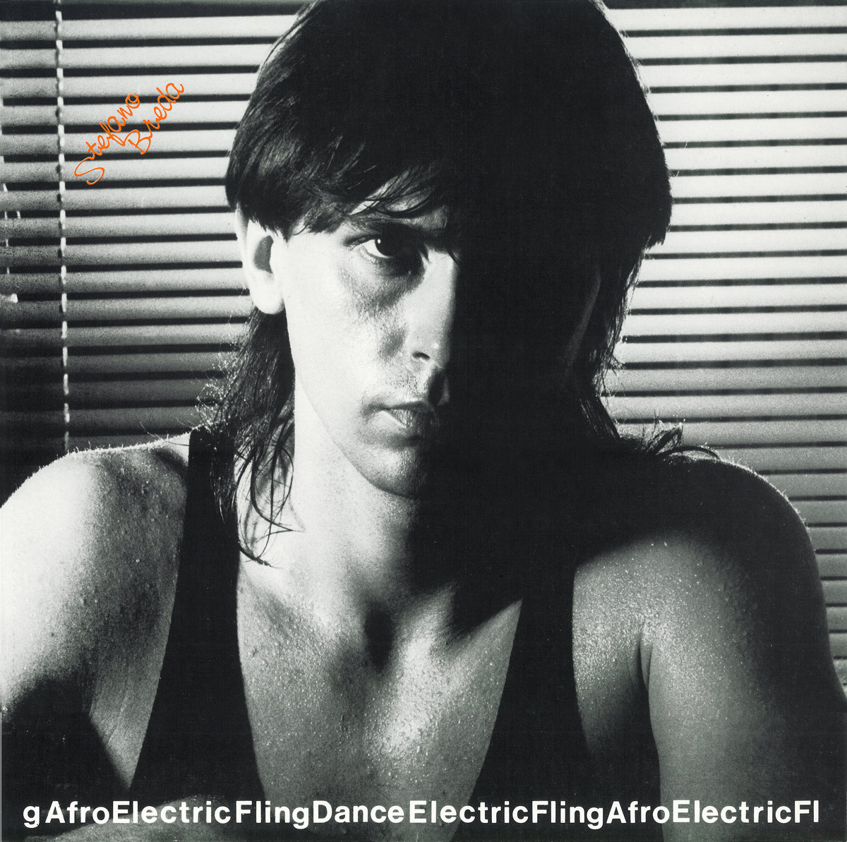 洋楽 In Flagranti - Presents: Electric Fling In Flagranti – Presents: Electric Fling – Vinyl (12