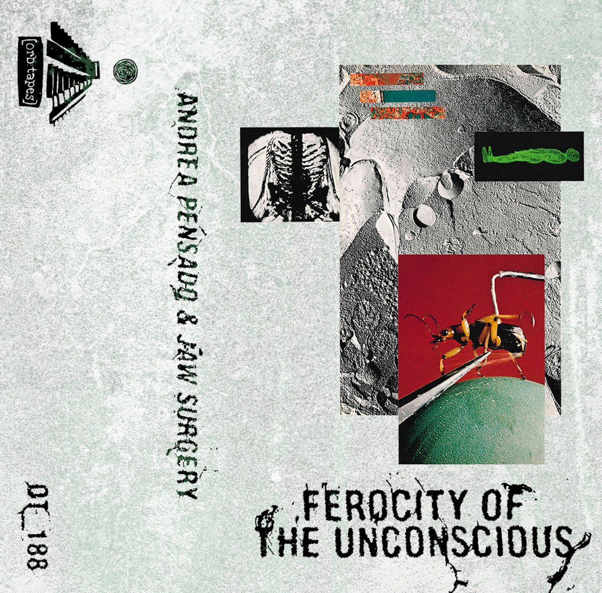 Ferocity of the Unconscious | Andrea Pensado & Jaw Surgery