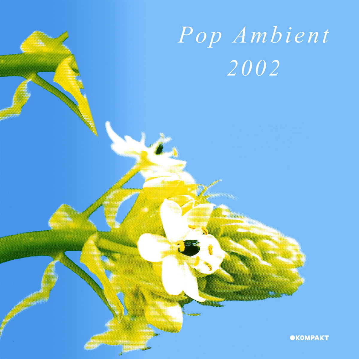Pop Ambient 2002 | Various Artists | Kompakt