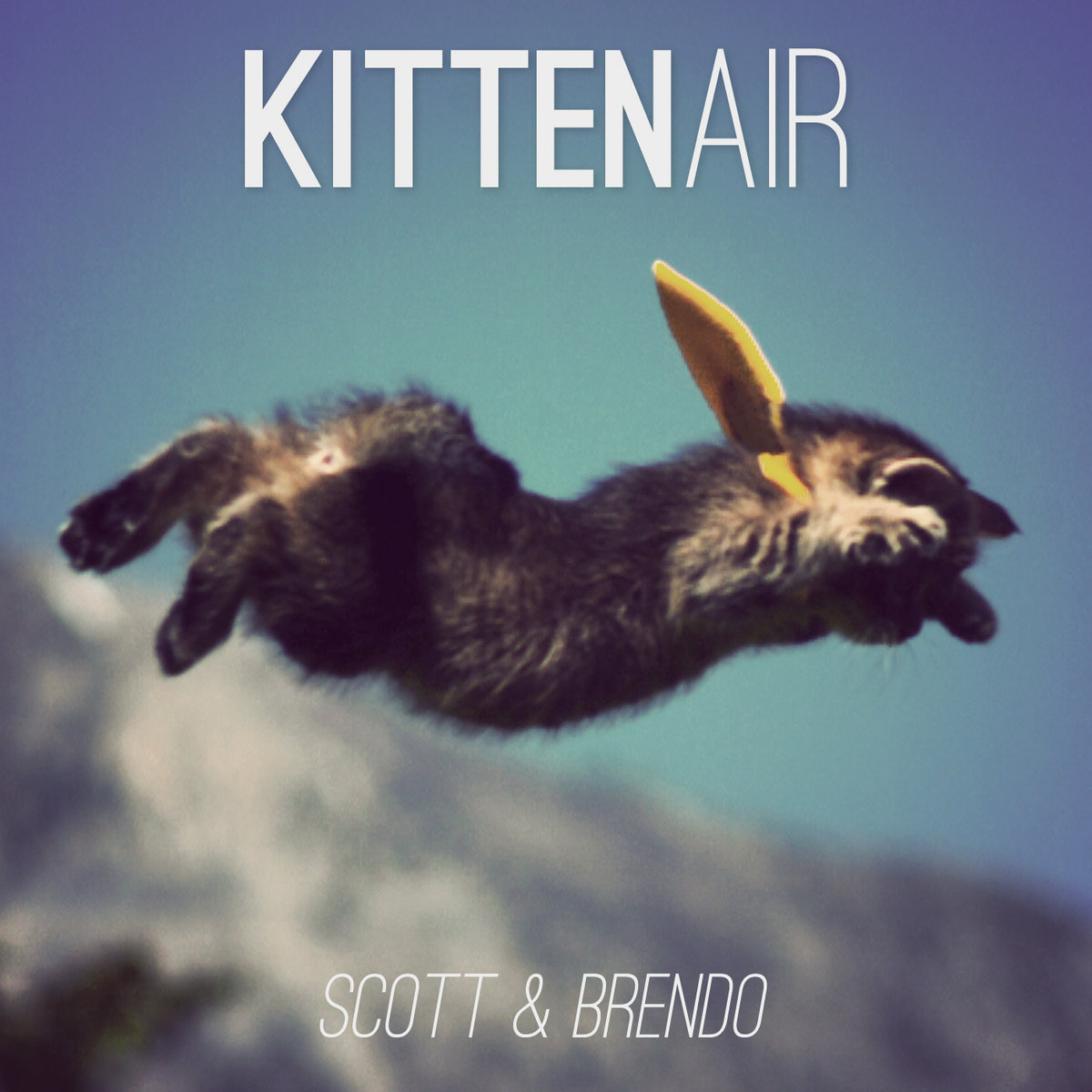scott and brendo kitten air