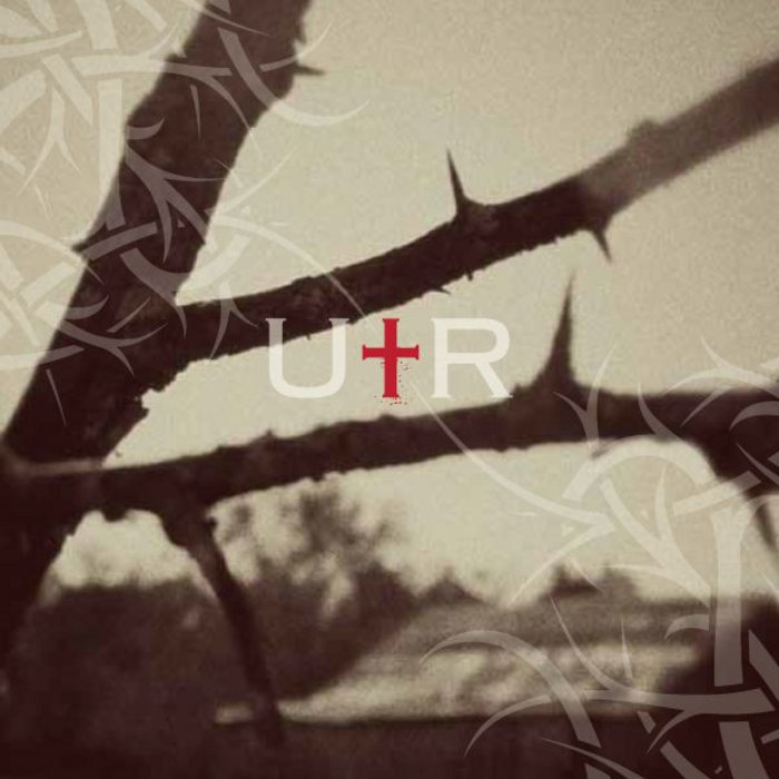 Under the Rose (LP) | Under the Rose