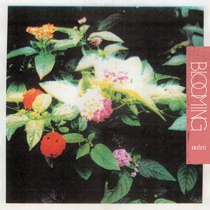 Amulets — Blooming