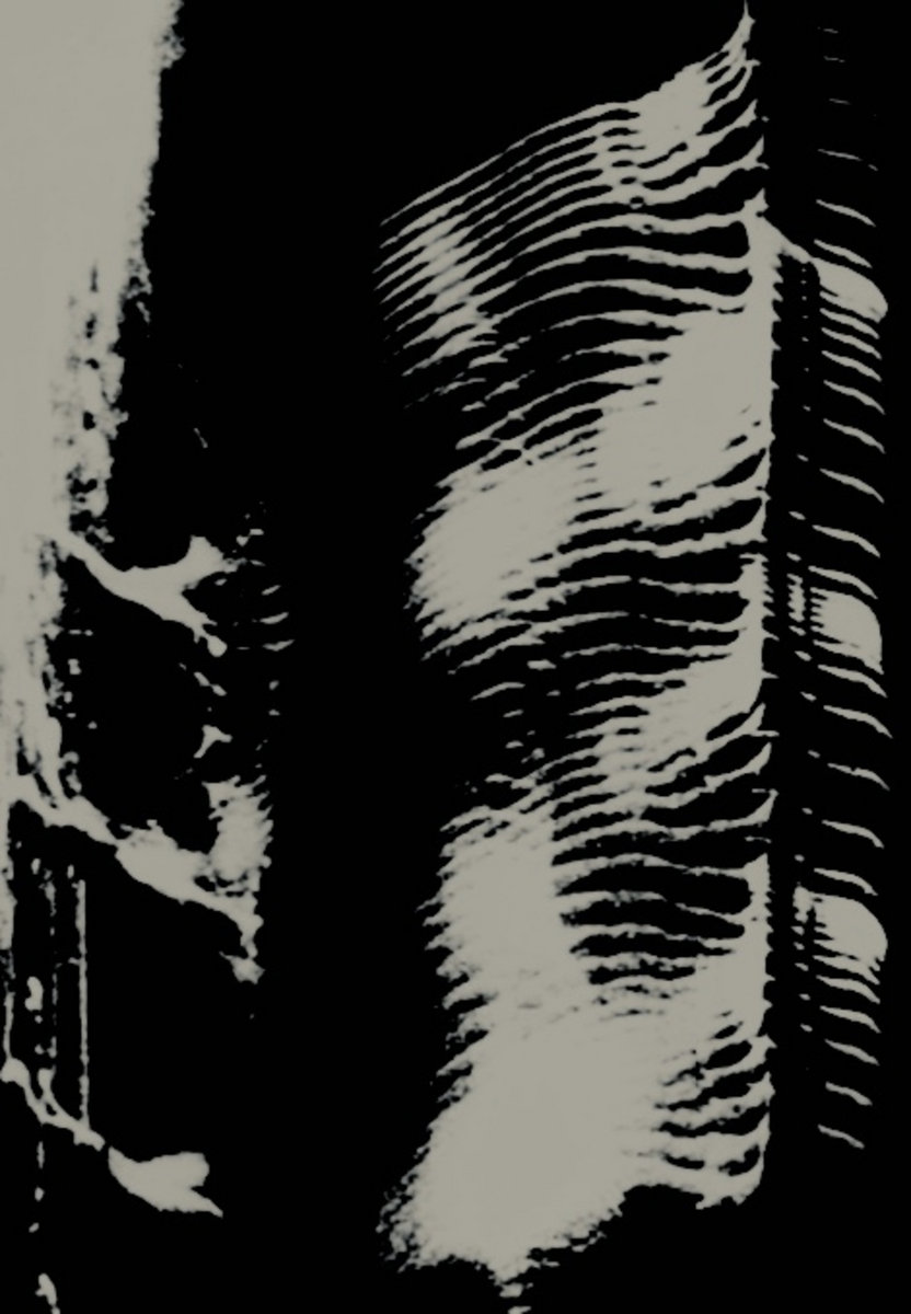 英LP A Large Sheet Of Muscle Dracula Completo TTT110 The Trilogy Tapes /00260 DRACULA COMPLETO | A LARGE SHEET OF MUSCLE | The Trilogy Tapes