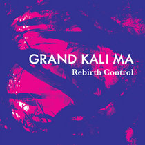 Rebirth Control cover art