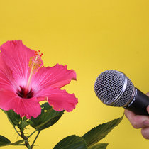 Wide Eyed and Full - Matt Nathanson cover art