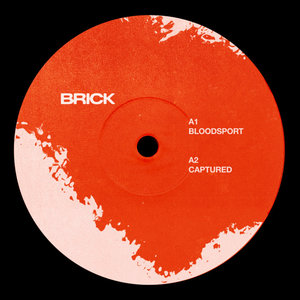 Bloodsport cover