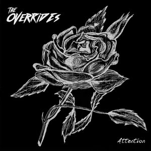 Attention cover