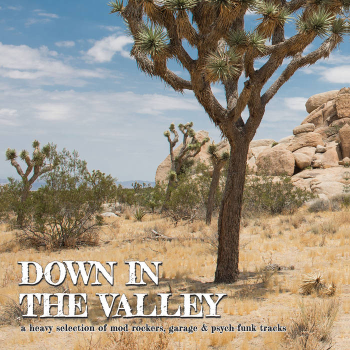 Down In The Valley | V/A | perfecttoyrecords