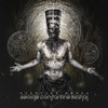 Strange Attractor