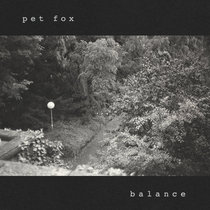 Pet Fox – Balance