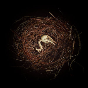 novemthree — Chasm