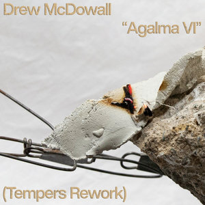 Agalma VI (Tempers Rework) cover