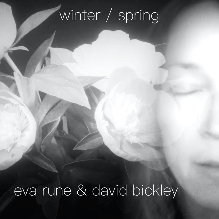Winter / Spring | Eva Rune & David Bickley | Storm Tree