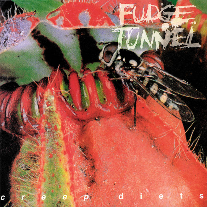 Creep Diets | Fudge Tunnel