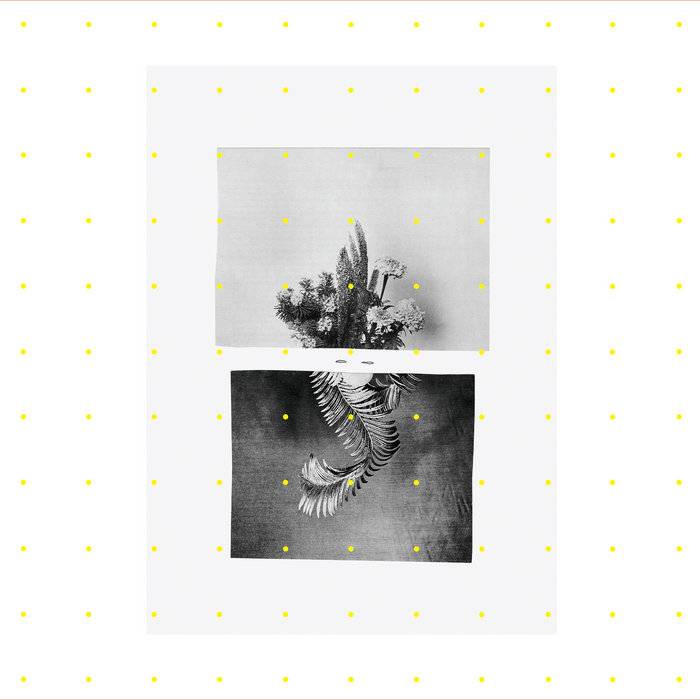 Various II | Various | 030303