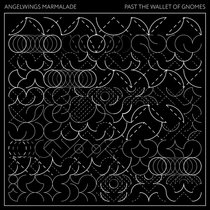 Past The Wallet Of Gnomes cover art