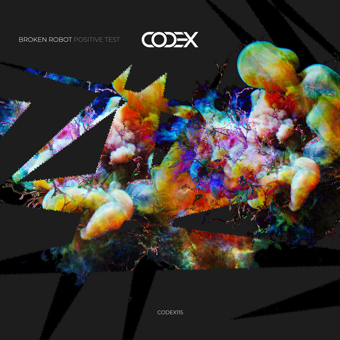 Positive Test | Broken Robot | Codex