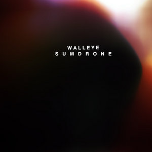 Walleye — SUM DRONE