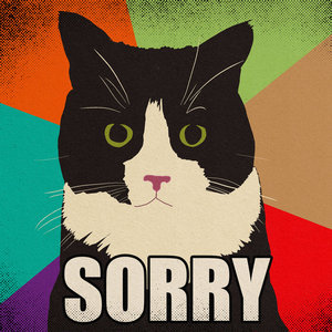 Sorry cover
