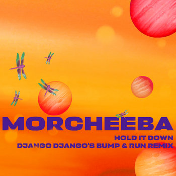 Album artwork for Hold It Down (Django Django's Bump & Run Remix)