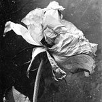 Wilting