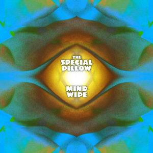 Mind Wipe cover